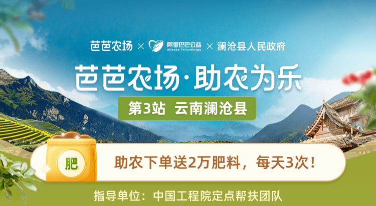 阿里公益支持研发推广云南澜沧咖啡实现逆袭