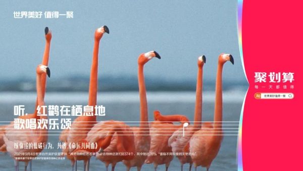 从共创命运单曲到践行环保主义，聚划算解锁公益营销新思路