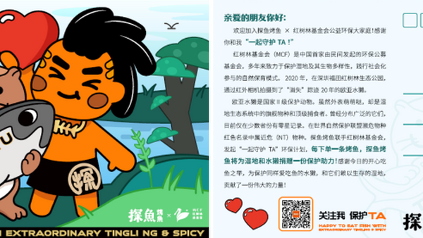 探鱼×红树林基金会:“护獭行动”全面开启